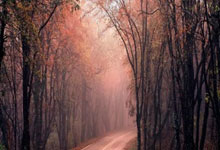 马洛卡客场败局乏味，输球的情况屡见不鲜