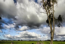 荷兰队上演惊天大逆转，逆袭成功