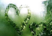 瑞士队轻松取胜，一路领先保持积分优势